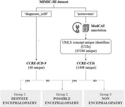 Identifying encephalopathy in patients admitted to an intensive care unit: Going beyond structured information using natural language processing
